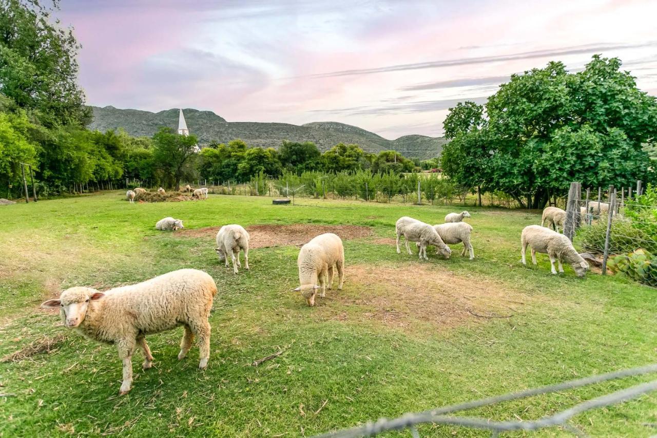 Die Fonteine Country Guesthouse And Glamping Oudtshoorn Kültér fotó