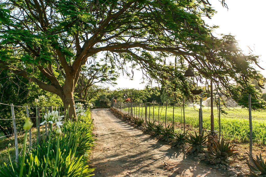 Die Fonteine Country Guesthouse And Glamping Oudtshoorn Kültér fotó