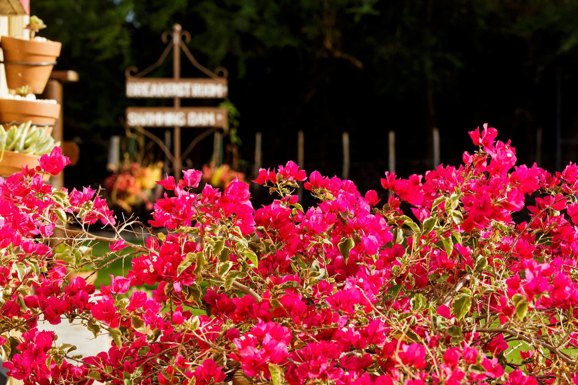 Die Fonteine Country Guesthouse And Glamping Oudtshoorn Kültér fotó